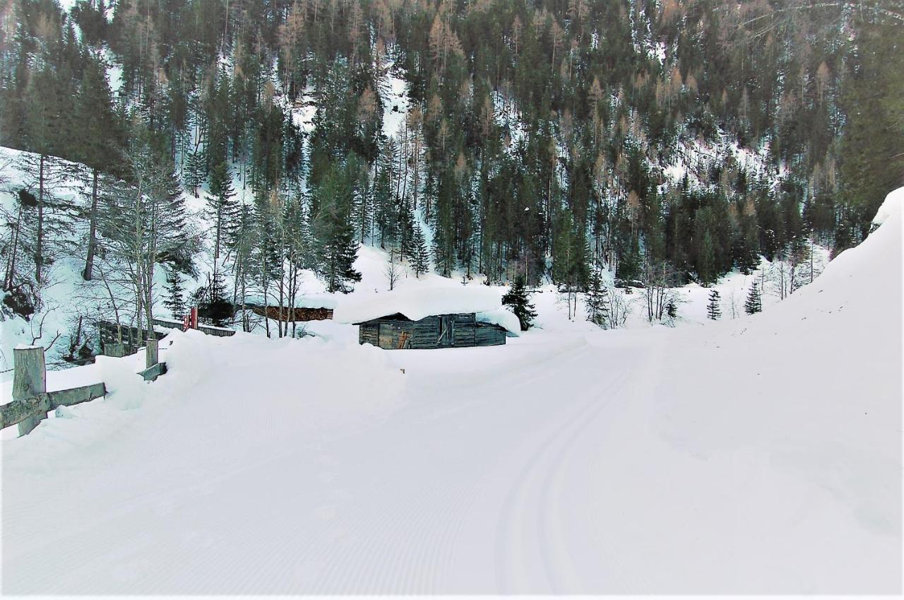 Virgentaler Alp Villa Pragraten ภายนอก รูปภาพ